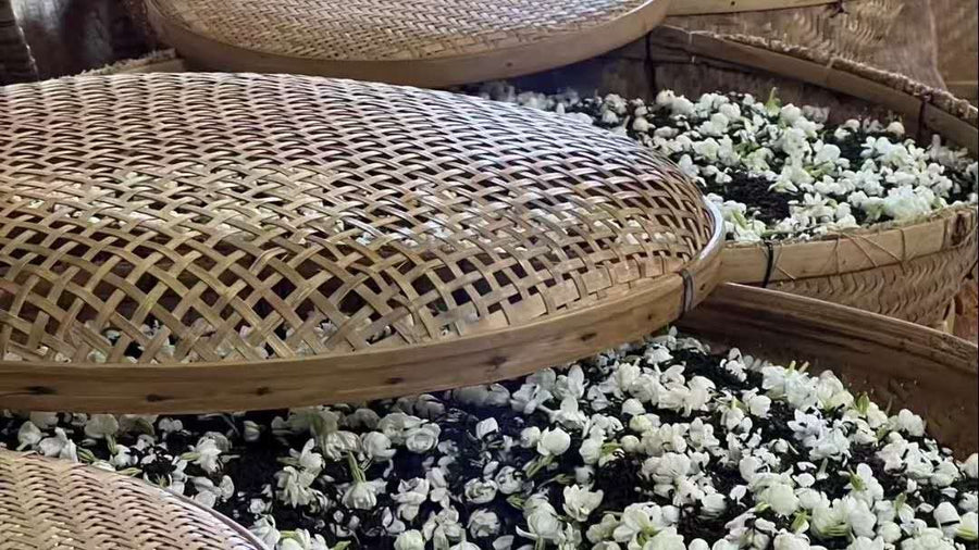 How Is Jasmine Tea Made? (And Why Some Cost More Than Others)