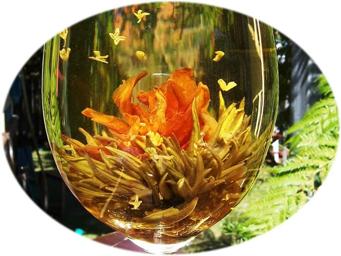 Blooming Tea
