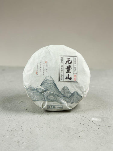 Pu-erh tea petite raw cake (100g)-2013
