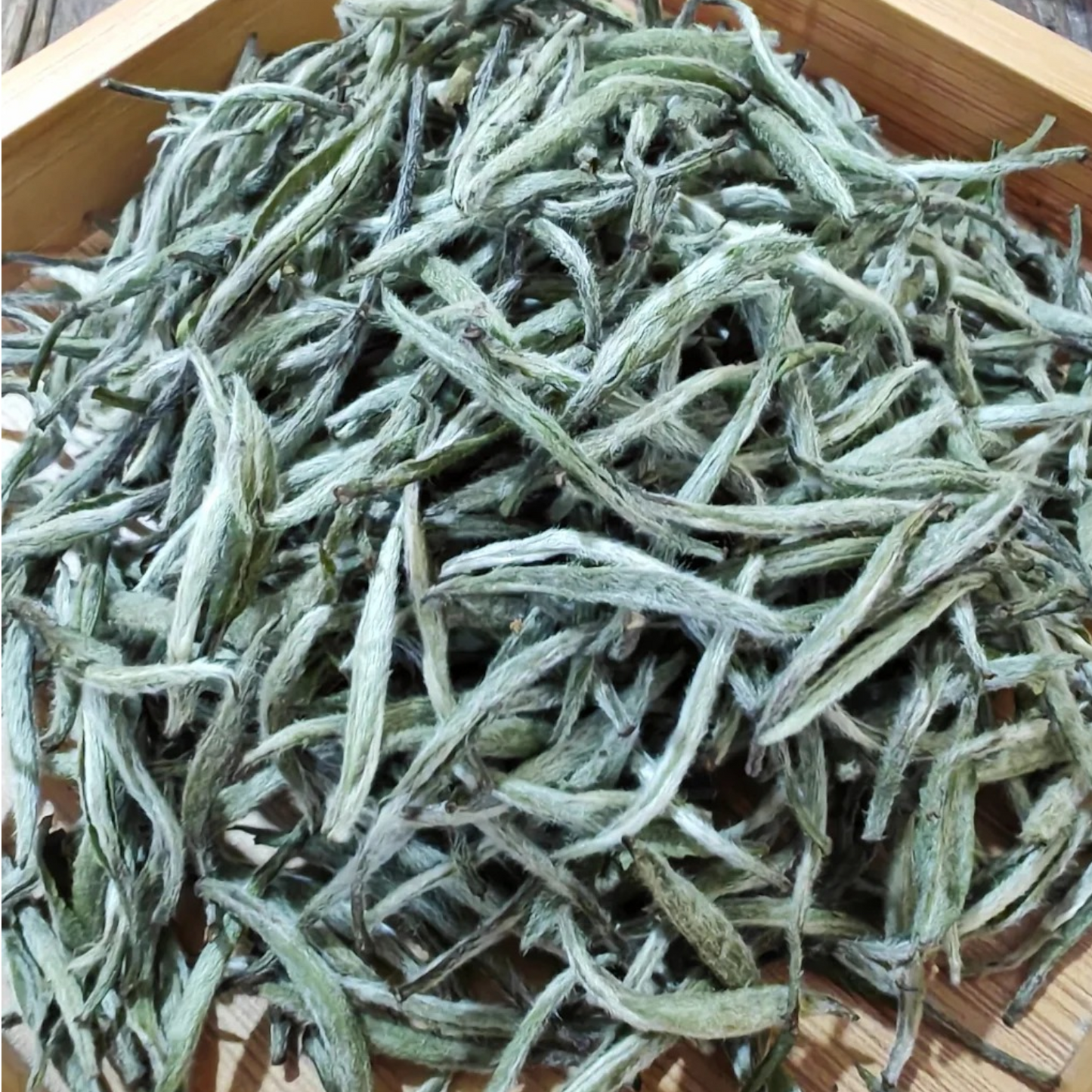 Shou Ning High Mt Silver Needle