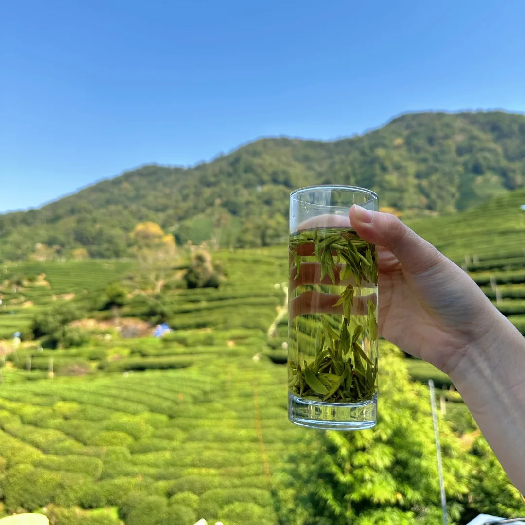 Organic Dragon Well (Long Jing) - Certified Organic Loose Leaf Green Tea