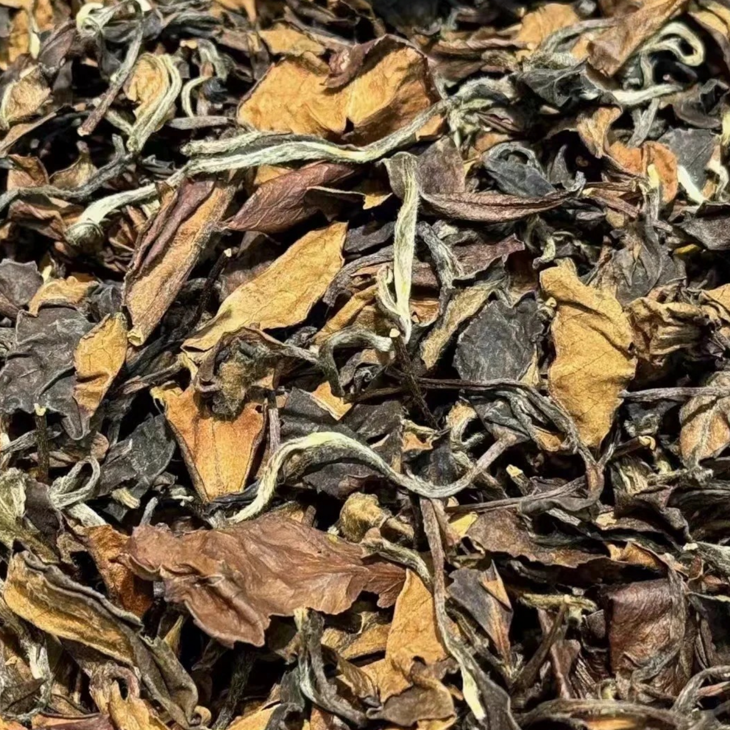 Aged Shou Mei 2014