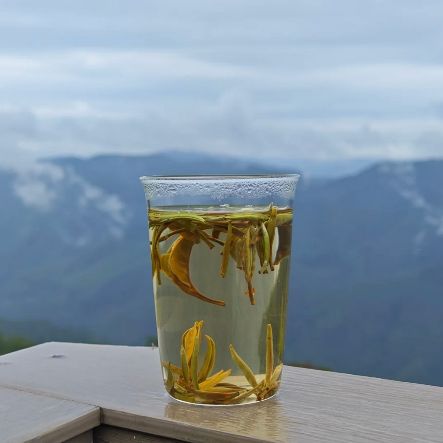 Yunnan Silver Needle