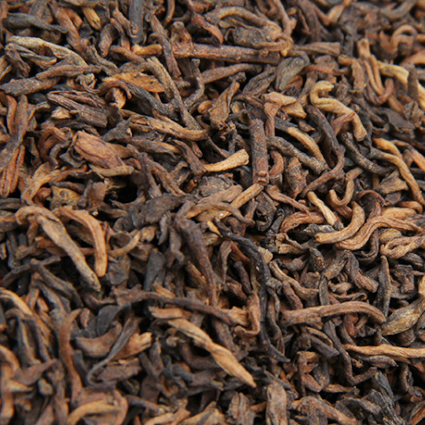 Classic Loose Pu-erh tea (ripened)-2009