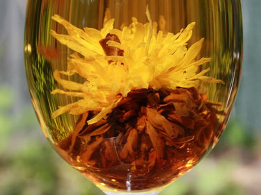 Chrysanthemum black tea