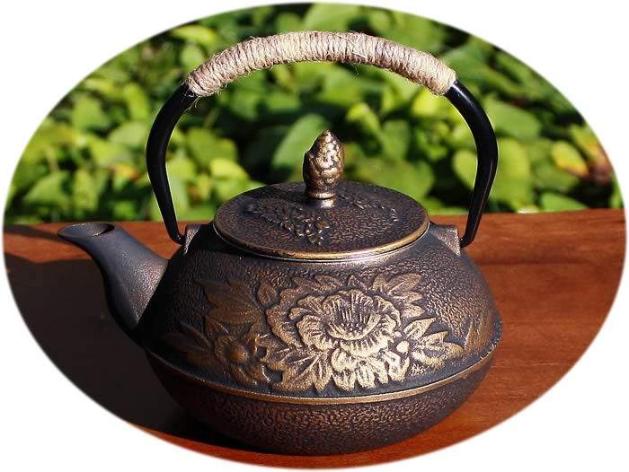 Cast iron teapot B