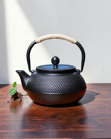 Cast iron teapot E