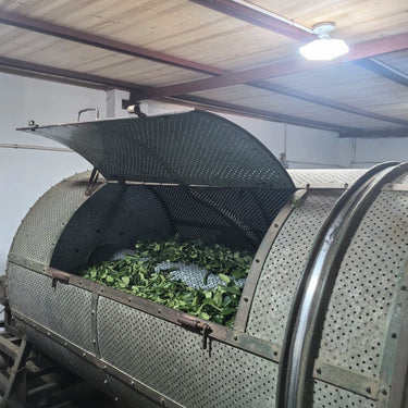 Drying Shui Xian oolong in the Wuyi tea gorges - Fujian Province