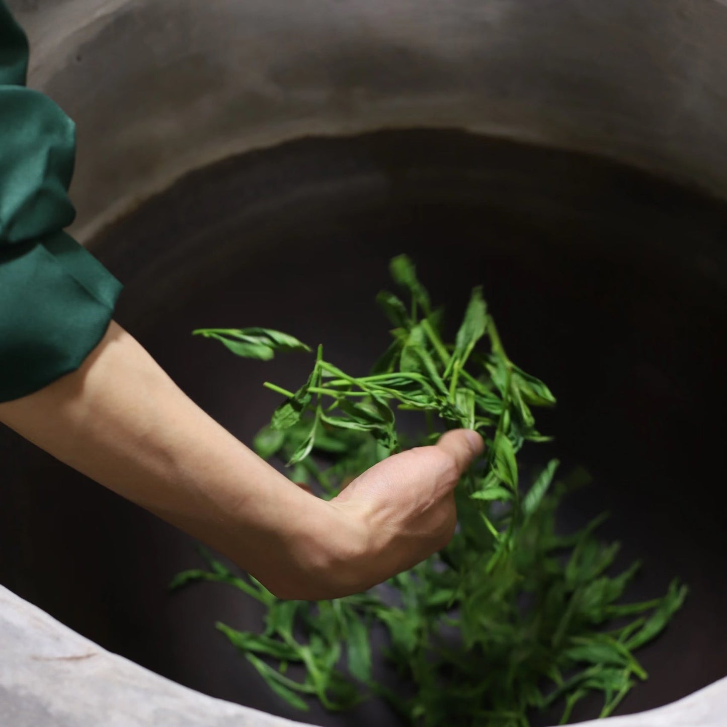 Tai Ping Hou Kui (Monkey King) - Loose Leaf Chinese Green Tea