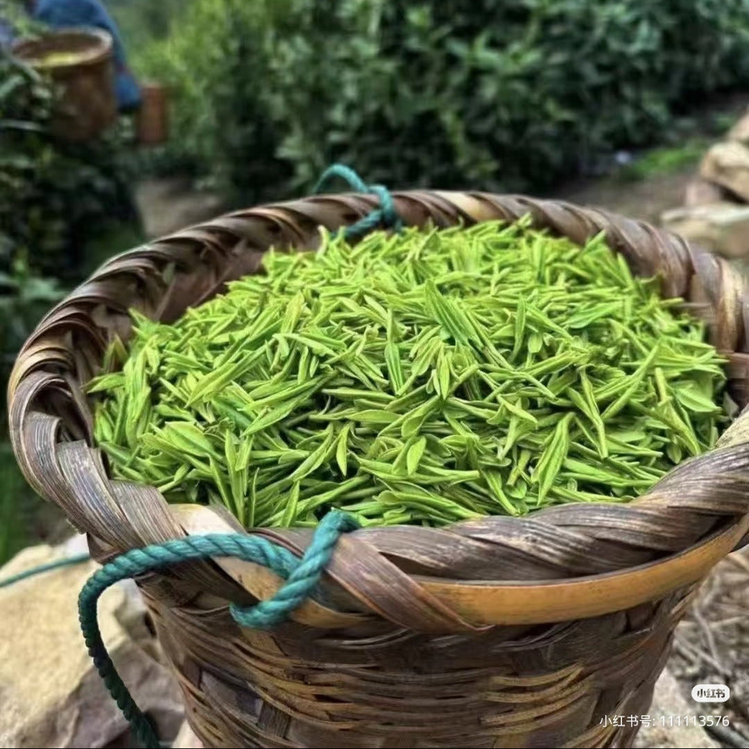 Organic Bi Luo Chun (Biluochun) — Certified Loose Leaf Chinese Green Tea