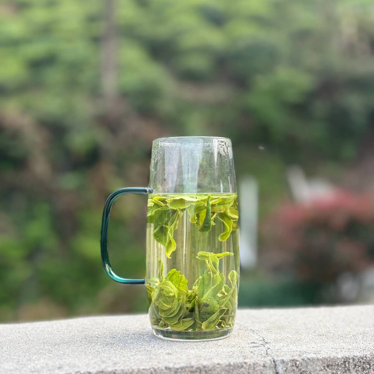 Liu An Gua Pian (Melon Seed) — Loose Leaf Chinese Green Tea