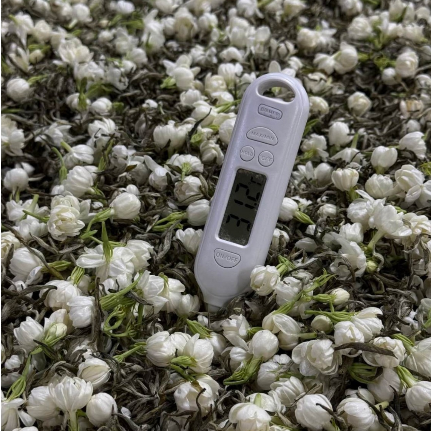 Jasmine Green Tea - Snow White Bouquet