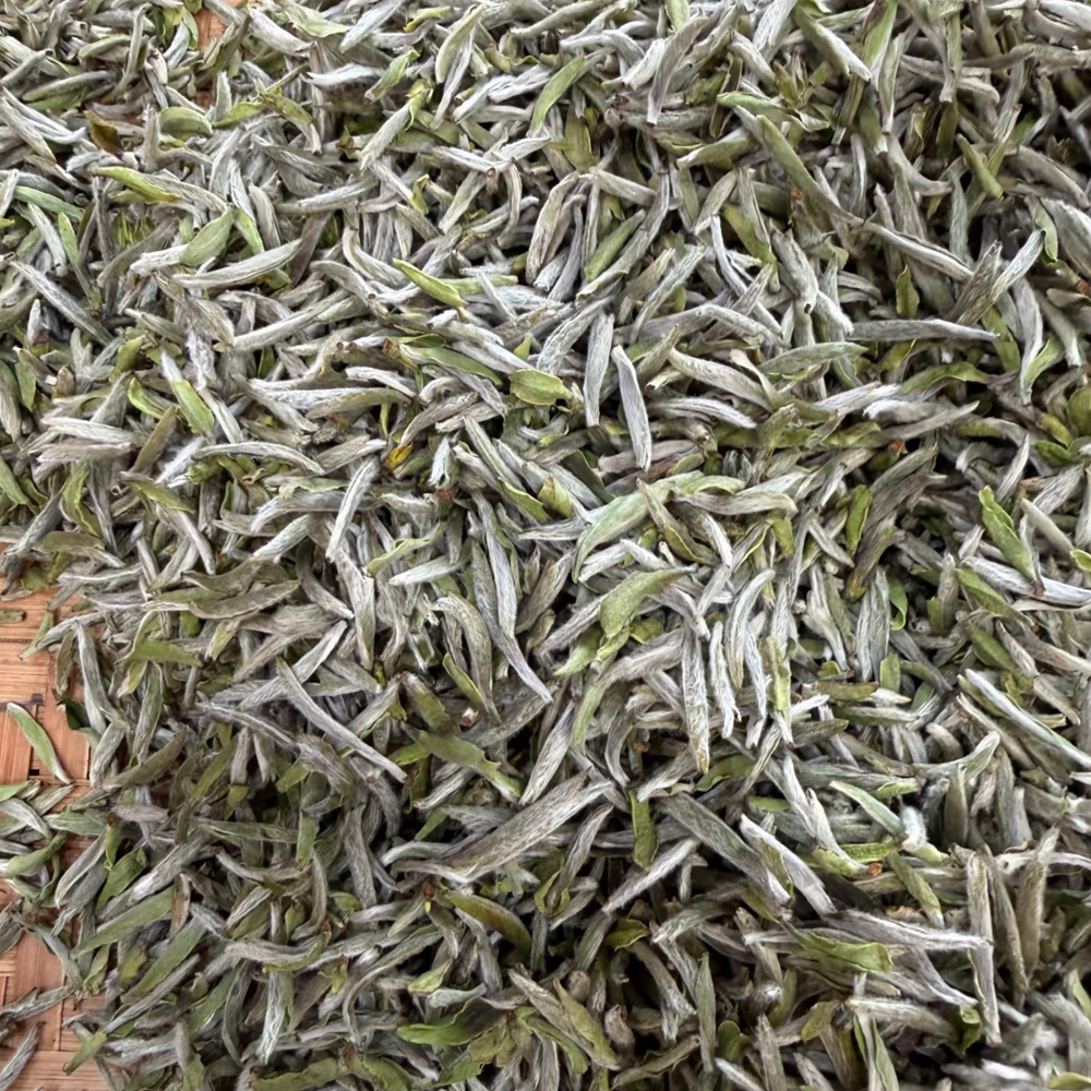 Fuding Silver Needle (Bai Hao Yinzhen)