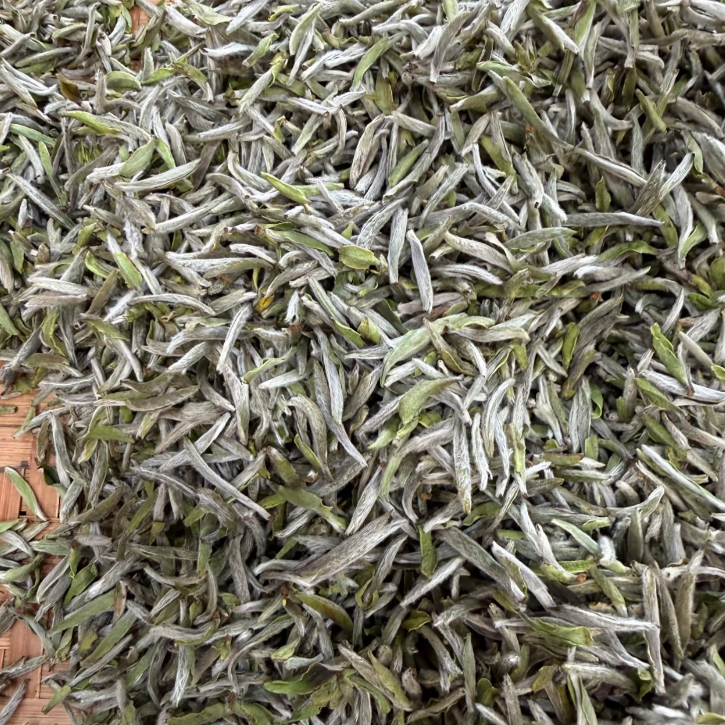 Fuding Silver Needle (Bai Hao Yinzhen)