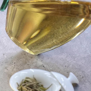 Fu-Ding white tea cake White Peony (Bai Mu Dan)-300g