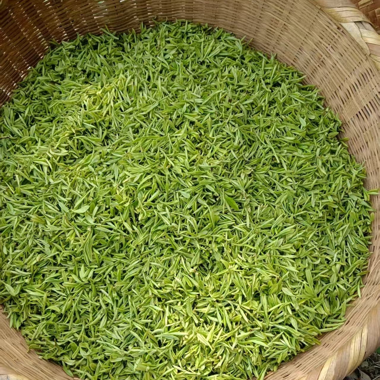 Organic Lu Shan Yun Wu - Authentic Loose Leaf Chinese Green Tea