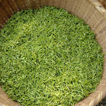 Organic Lu Shan Yun Wu - Authentic Loose Leaf Chinese Green Tea
