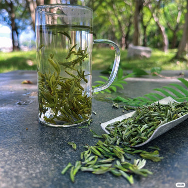 Mao Feng (Yellow Mountain) — Loose Leaf Chinese Green Tea