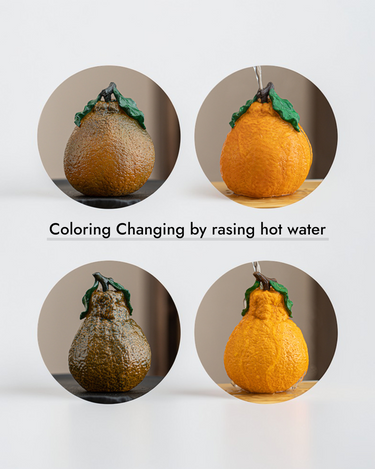 Tea pet- Coloring Changing Orange