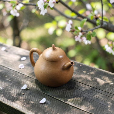 Yixing Zisha Teapot Eggplant (Duan Ni) -190ml
