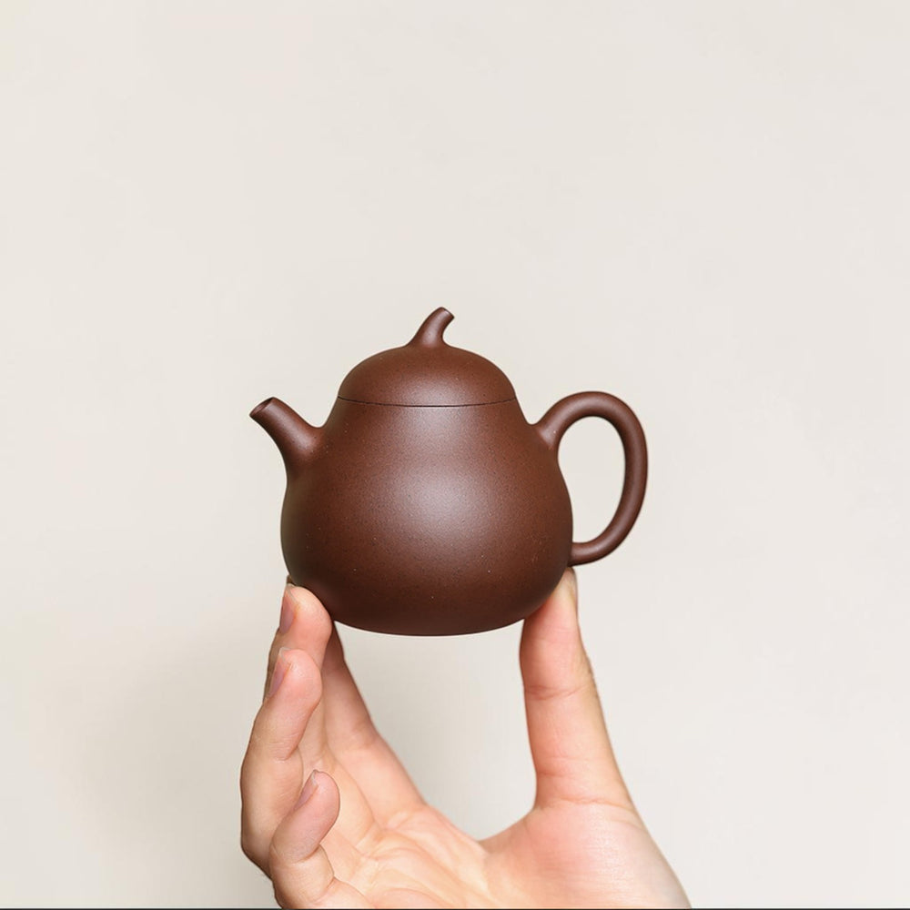 Yixing Zisha Teapot Eggplant (Raw Purple Clay)-110ml Mini