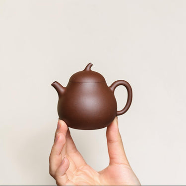 Yixing Zisha Teapot Eggplant (Raw Purple Clay)-110ml Mini