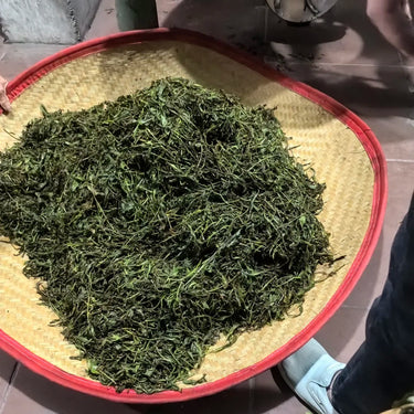 Premium Shui Xian (Daffodil) dry leaves - big-leaf Wuyi cultivar