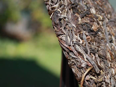 Pu-erh raw cake Bing Dao Gu-Shu 2021