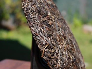 Pu-erh raw cake Bing Dao Gu-Shu 2021