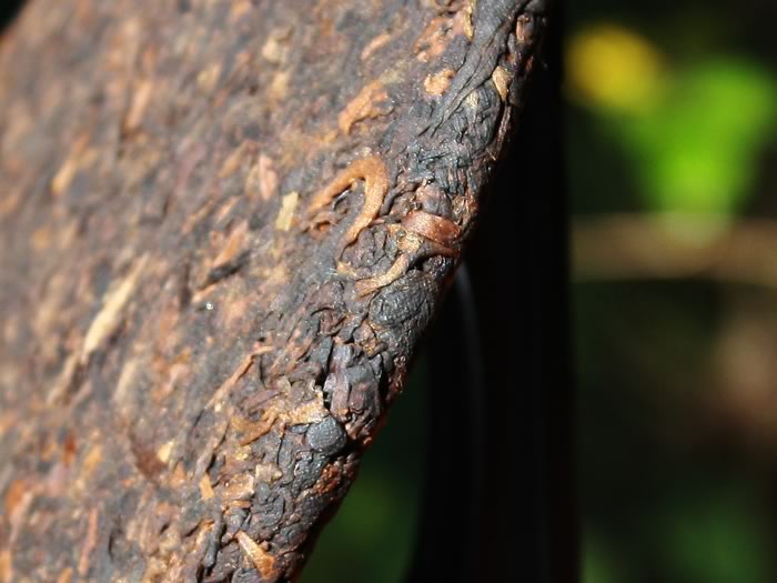 Pu-erh ripened cake Yi Wu-2006
