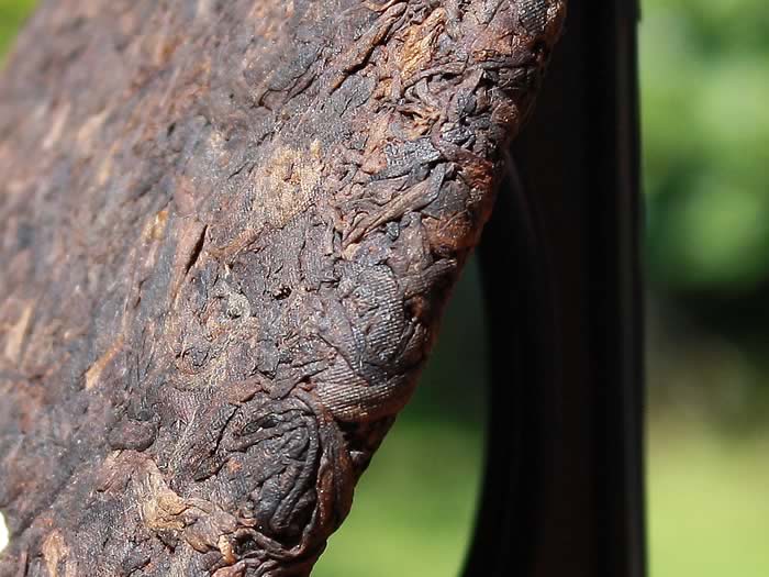 Pu-erh ripened cake Golden Yi Wu