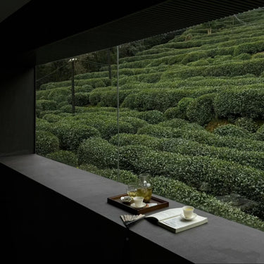 Longjing Tea (Dragon Well) — Premium Loose Leaf Chinese Green Tea