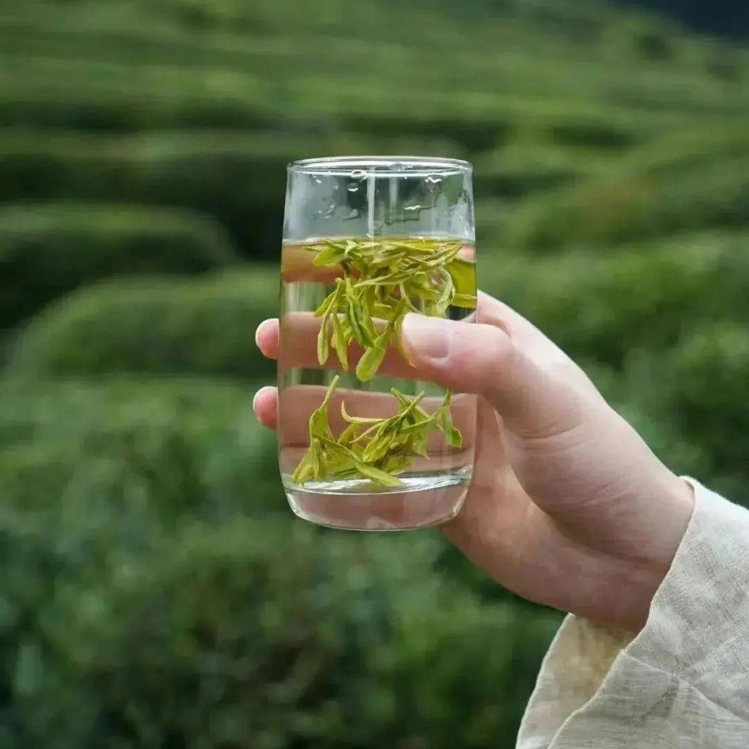 Longjing Tea (Dragon Well) — Premium Loose Leaf Chinese Green Tea