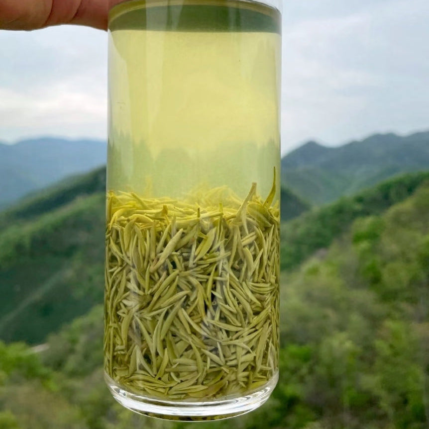 Xin Yang Mao Jian — Loose Leaf Chinese Green Tea