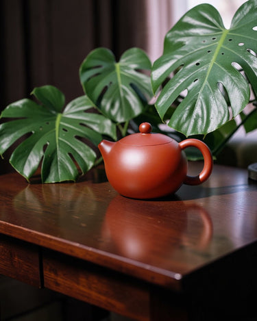 Yixing Zisha teapot Xi Shi - Zhuni