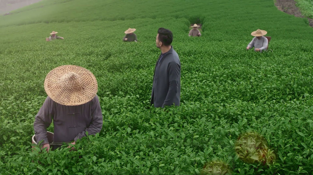 image in image with text