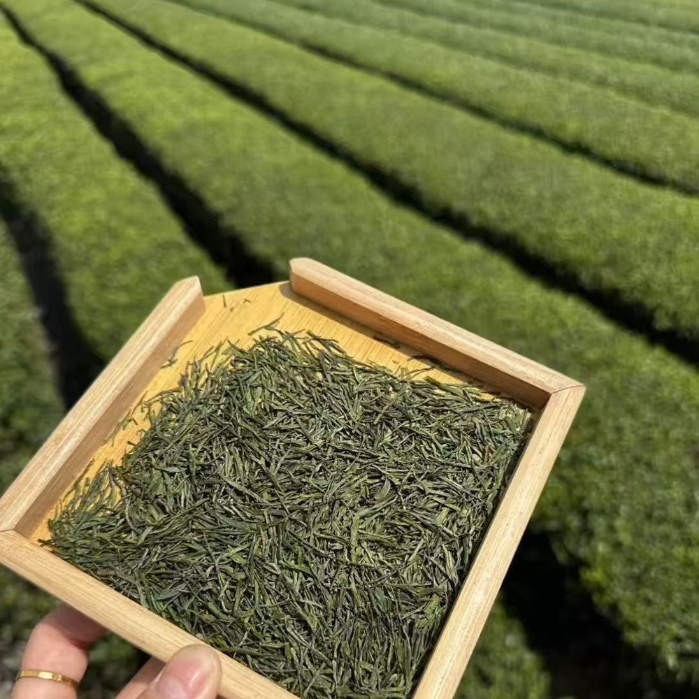 Enshi Yulu- Steam Processed Loose Leaf Chinese Green Tea