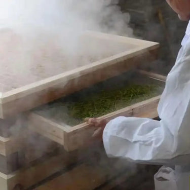 Enshi Yulu (Jade Dew)- Steam Processed Loose Leaf Chinese Green Tea