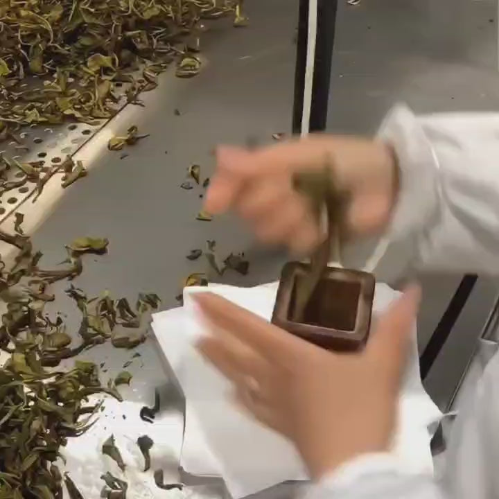 Zhang Ping Shui Xian — Compressed Chinese Oolong Tea