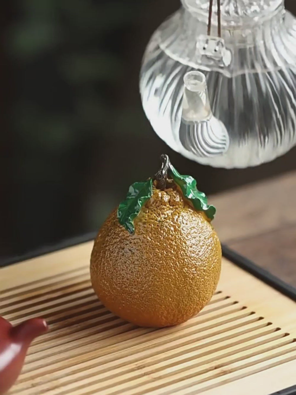 Tea pet- Coloring Changing Orange