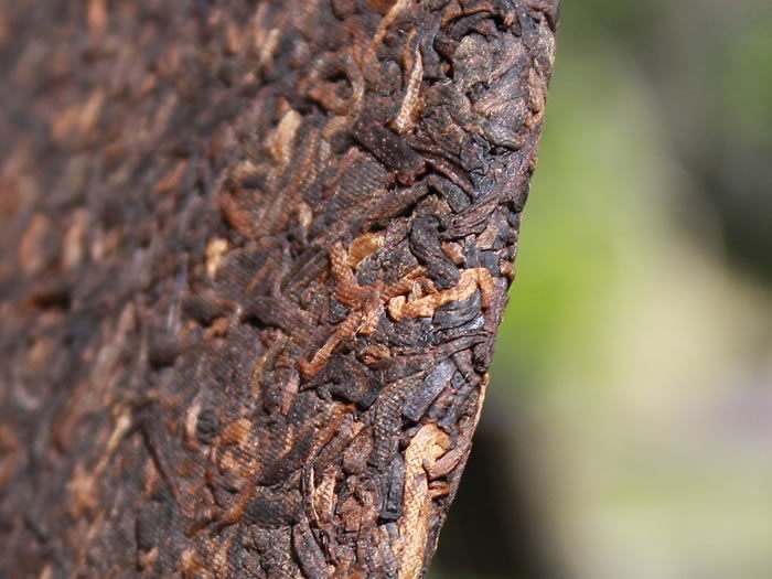 Pu-erh ripened cake Ban-Na stone compressed-2014