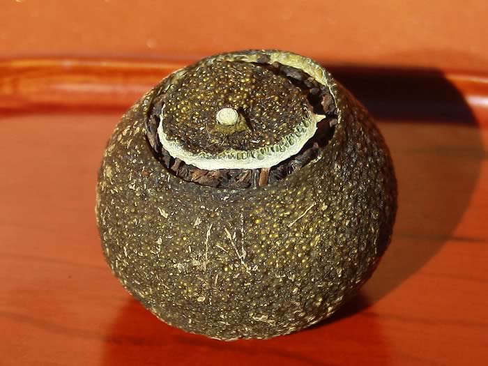 Pu-erh ripened Xiao Qing Gan