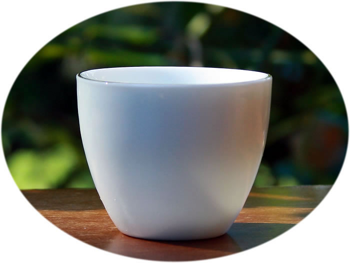 Fine China Gong Fu Tea Cup A