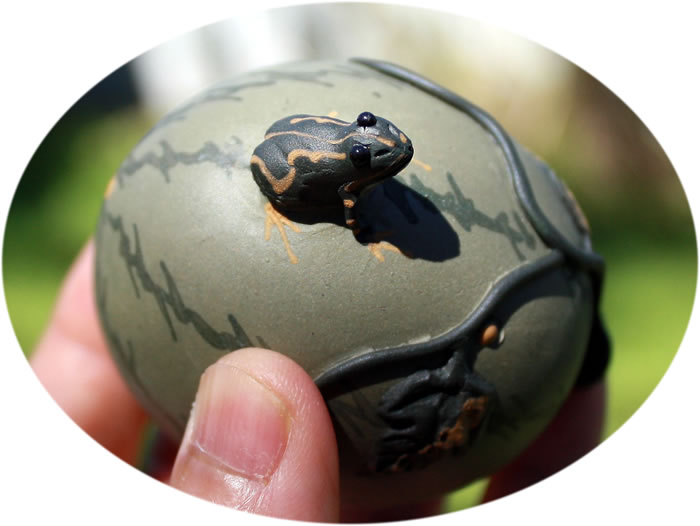 Tea pet frog fountain C
