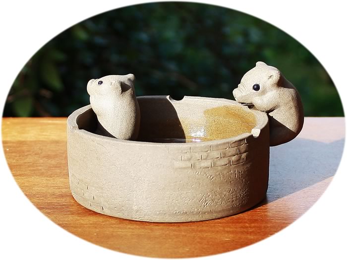 Tea pet piglets D