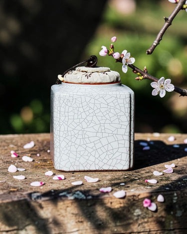 Tea canister Ge Kiln A