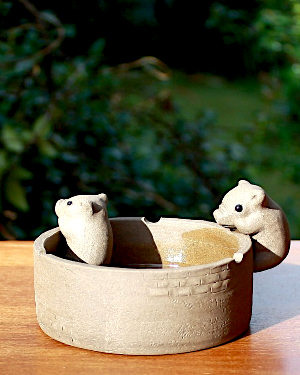 Tea pet piglets D