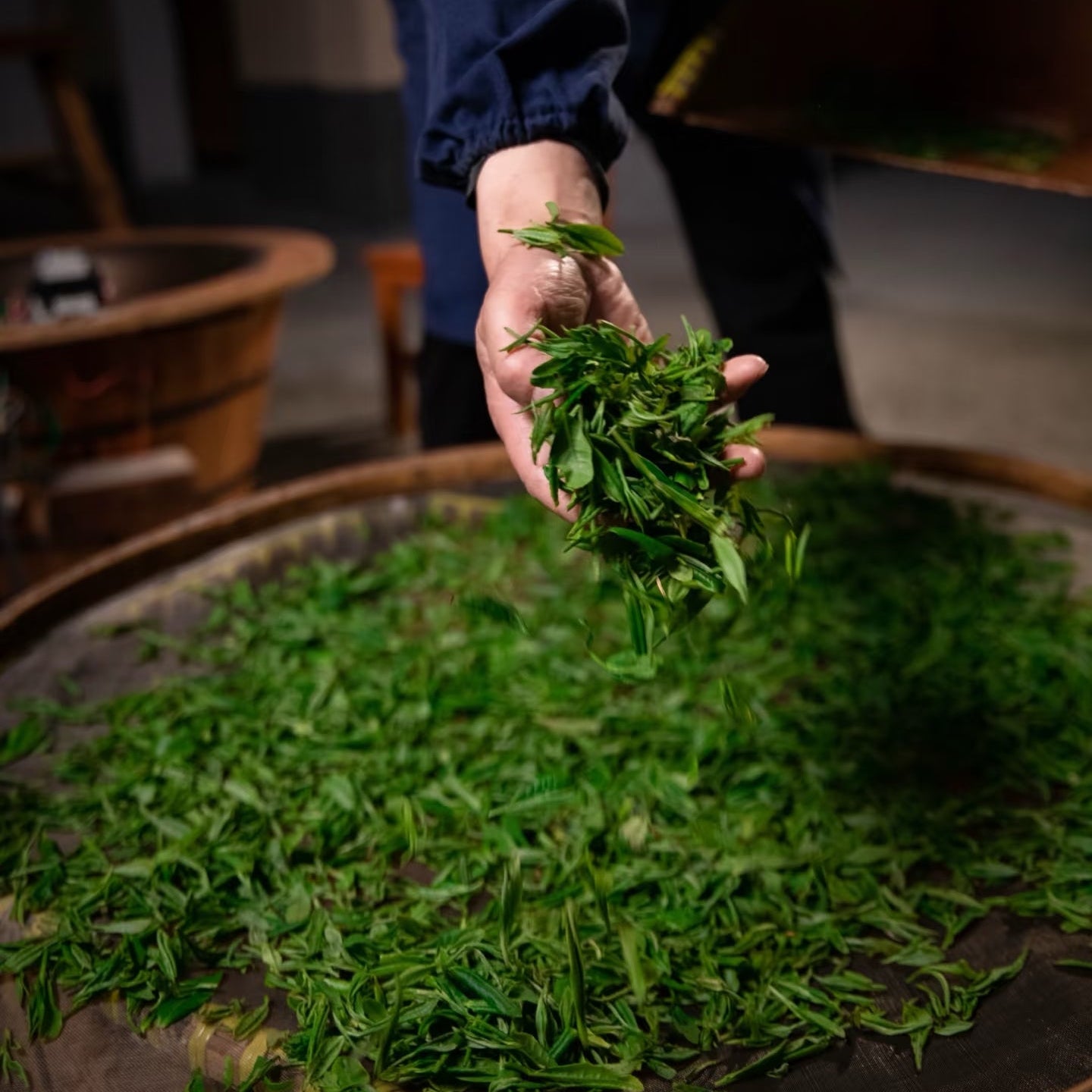 Tian Mu Qing Ding - Organic -Authentic Loose Leaf Green Tea