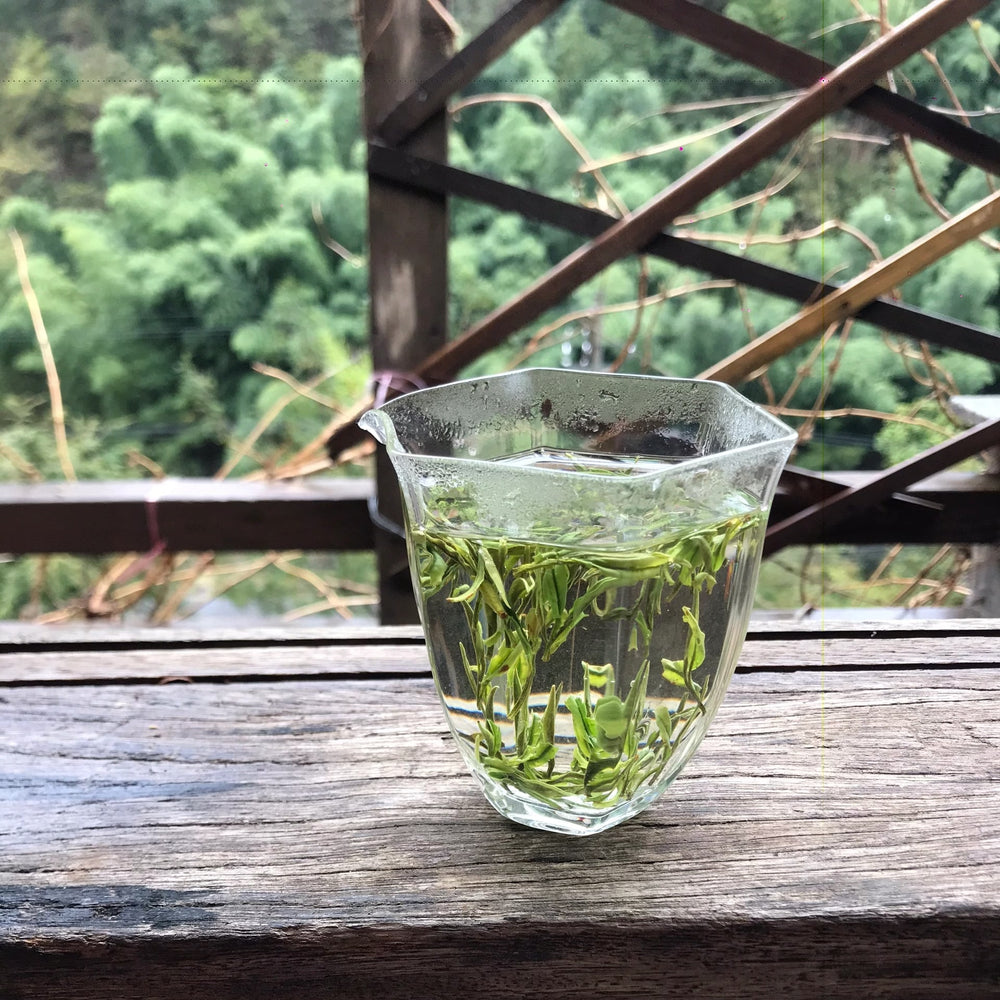 Tian Mu Qing Ding - Organic -Authentic Loose Leaf Green Tea