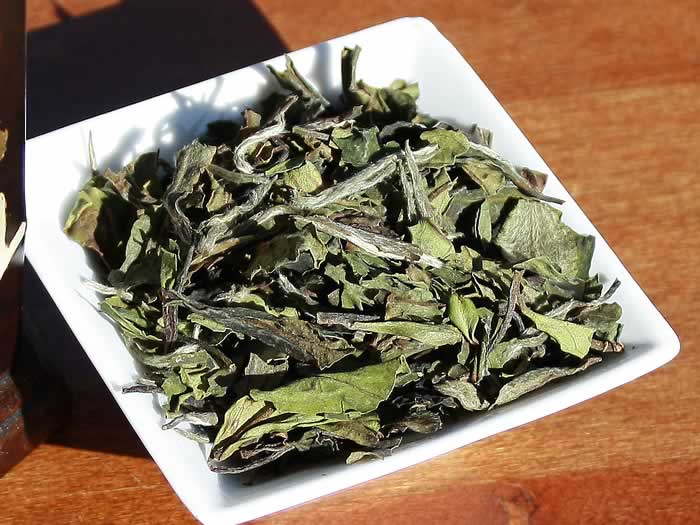 Fuding Shou Mei - Organic